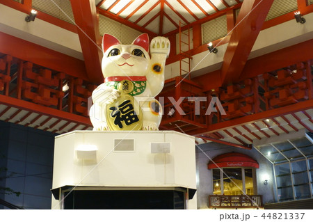 大須商店街　招き猫 44821337