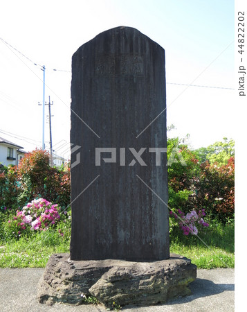 我孫子市の手賀沼公園にある血脇先生謝恩之碑 44822202
