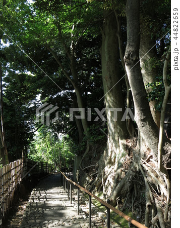 我孫子市の天神坂 44822659