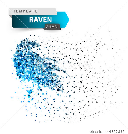 Crow, raven - glare dot illustration. 44822832