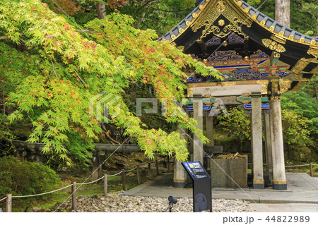 大猷院廟 44822989