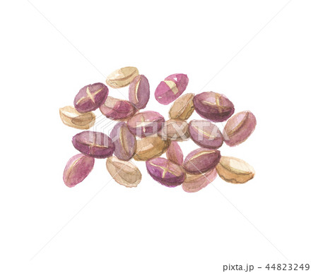 アマランサス アマランサス 44823249