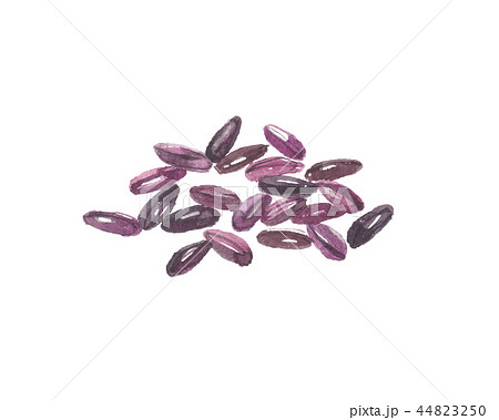 黒米 黒米 44823250