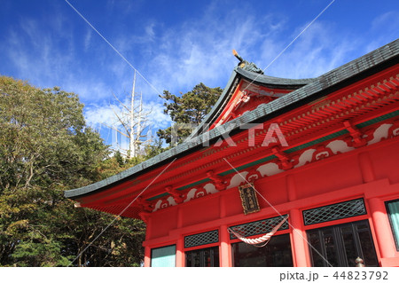 赤城神社 赤城神社 44823792