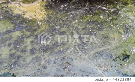 Pollution in water 44823894