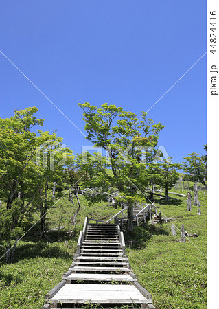 大台ケ原 正木峠 2018夏 大台ケ原 正木峠 2018夏 44824416