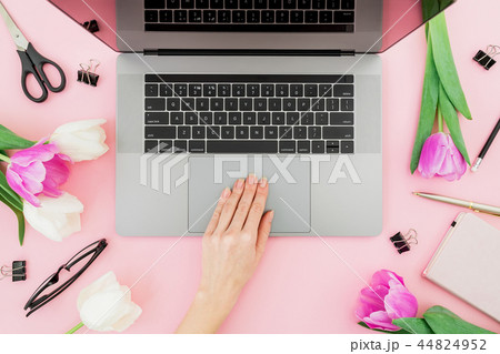 Woman freelancer working with laptop. Work place Woman freelancer working with laptop. Work place 44824952