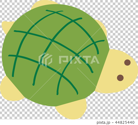 メロンパン模様のカメのイラスト素材 44825440 Pixta