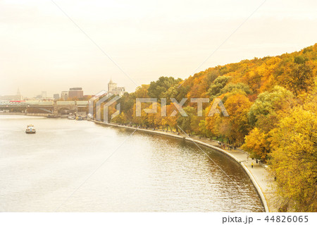 Autumn in the city Park, trees in yellow foliage. Autumn in the city Park, trees in yellow foliage. 44826065