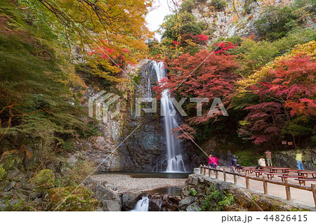 秋の箕面の滝 44826415