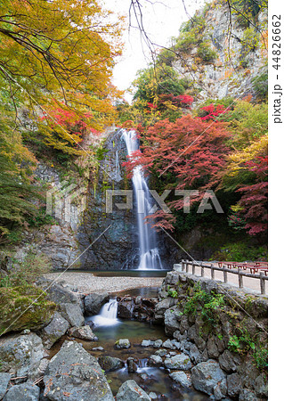 秋の箕面の滝 44826662
