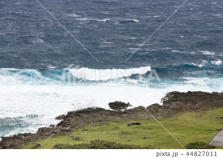 与那国島・アリシ 44827011