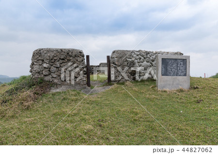 ダテイクチデイ 44827062