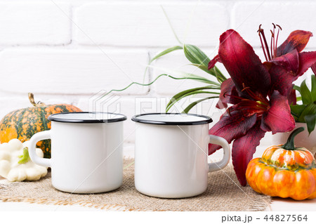 Download Two white campfire enamel mug mockup with pumpkin の写真素材 ...