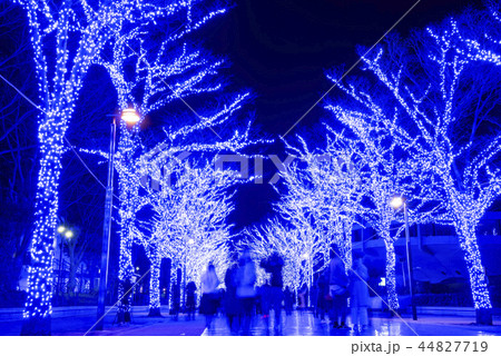 【青の洞窟 SHIBUYA】 44827719