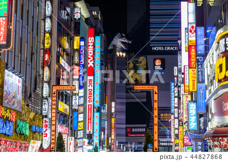 新宿歌舞伎町の夜景 新宿歌舞伎町の夜景 44827868