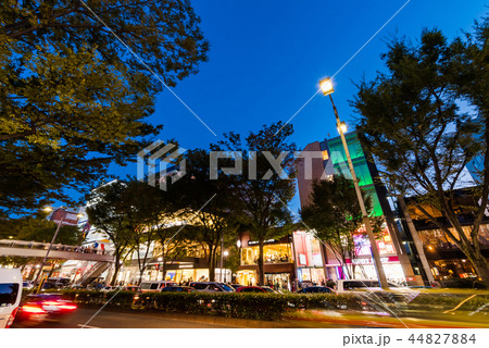 表参道の夜景 表参道の夜景 44827884