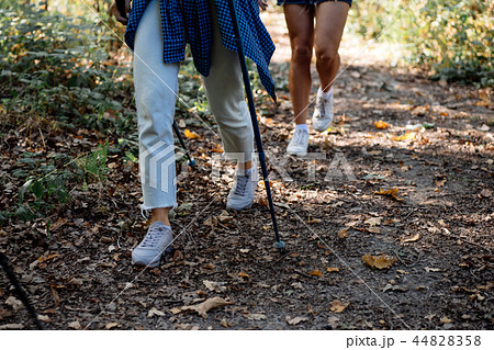 Close up female legs of hikers with nordic sticks 44828358