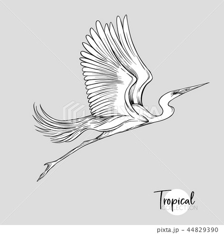 Set of elements for design with tropical plants 44829390