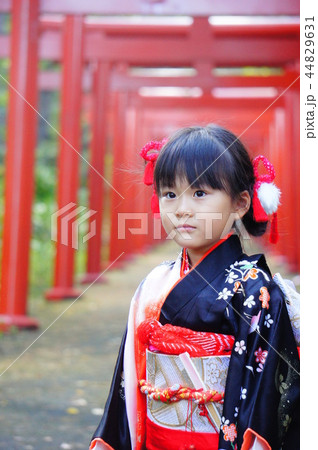 七五三の女の子 七五三の女の子 44829631