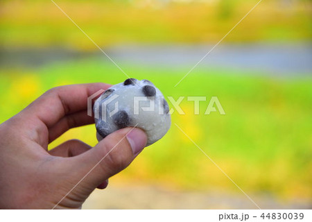 出町ふたばの豆餅 44830039