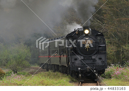 真岡鉄道SLと秋桜 44833163