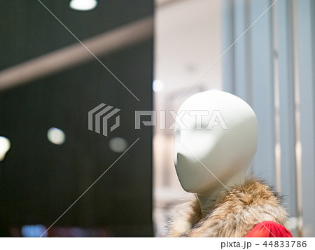 モック モデル 模型 44833786