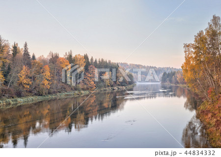 Autumn landscape mysterious foggy morning in a field near the river 44834332