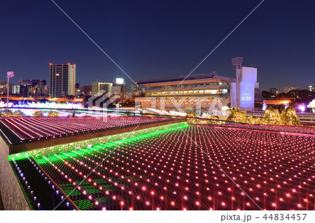 大井競馬場 東京メガイルミネーション 大井競馬場 東京メガイルミネーション 44834457