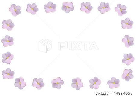 お菓子の花のフレーム 44834656