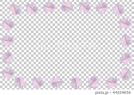 Candy flower frame 44834656
