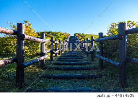 球島山に至る歩道 44834909