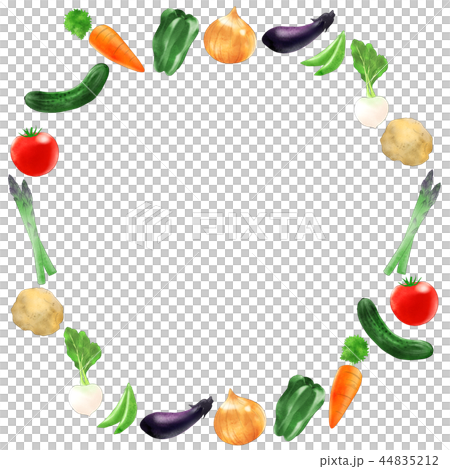 Vegetable frame - Stock Illustration [44835212] - PIXTA