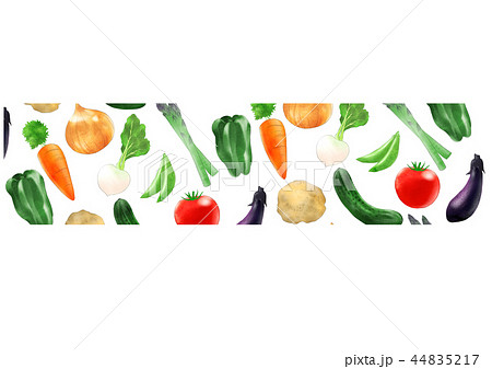 野菜バナー 野菜バナー 44835217