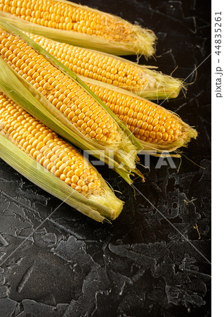 Corn and wheat spikes 44835261
