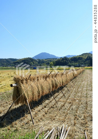 掛け干し 掛け干し 44835288