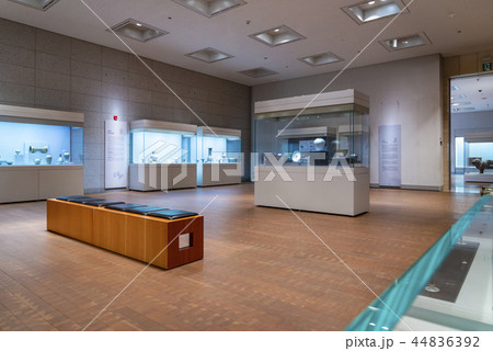 展示場 展示 博物館 44836392