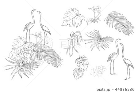 Set of elements for design with tropical plants 44836536