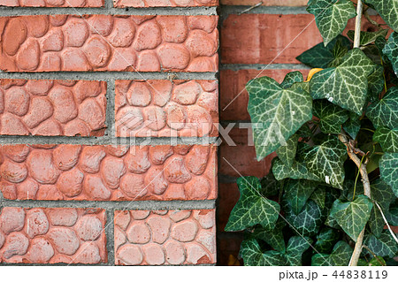 red brick wall and ivy as background 44838119