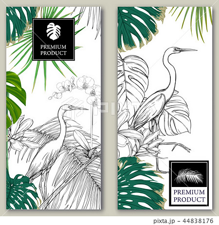 Set of two templates for label with tropic Set of two templates for label with tropic 44838176