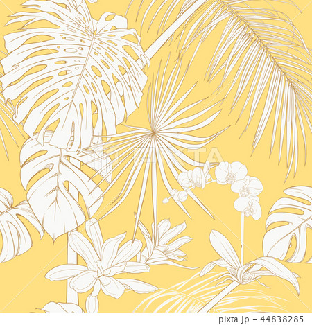 Seamless pattern, background with tropical plants 44838285