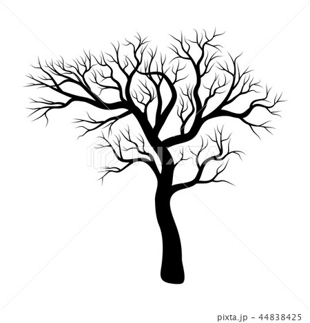 bare tree winter design isolated on white  44838425
