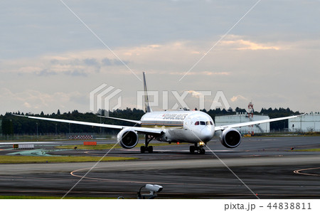 タキシング 44838811