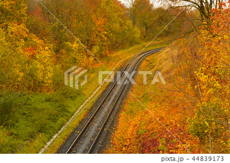 Railway leaving in the autumn forest. 44839173