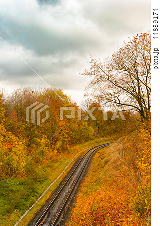The railway in autumn forest 44839174