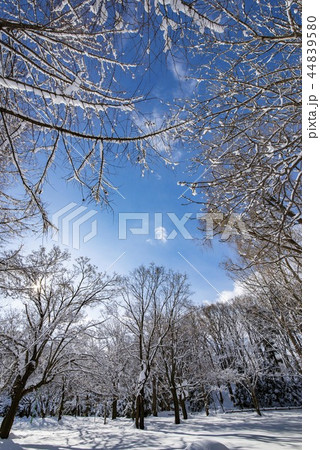 雪景色 雪景色 44839580