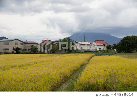 青森県 44839614