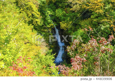 紅葉の蛇淵の滝 44839906