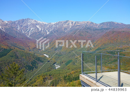 HAKUBA MOUNTAIN HARBORテラスから眺める白馬三山と山麓の紅葉　　北安曇郡白馬村 44839963