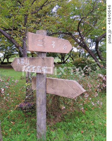 さきたま古墳公園 44840646